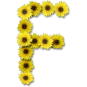 tray-icon
