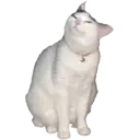 tray-icon